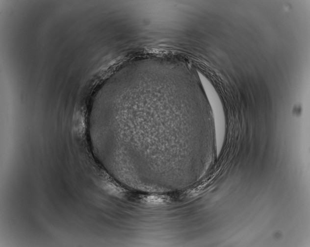 X0000100210566200806131254