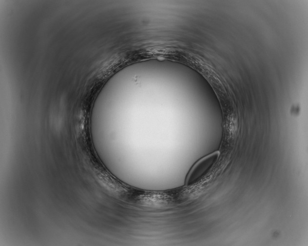 X0000100210567200806131254