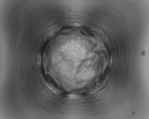 X0000100210568200806131254