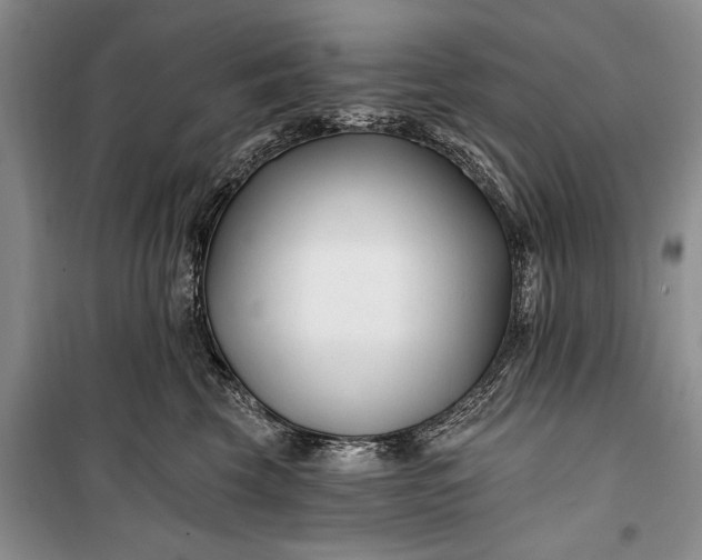 X0000100210569200806131254