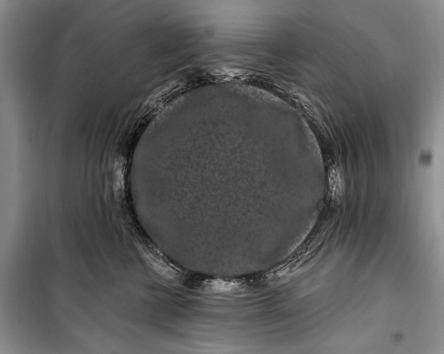 X0000100210570200806131254