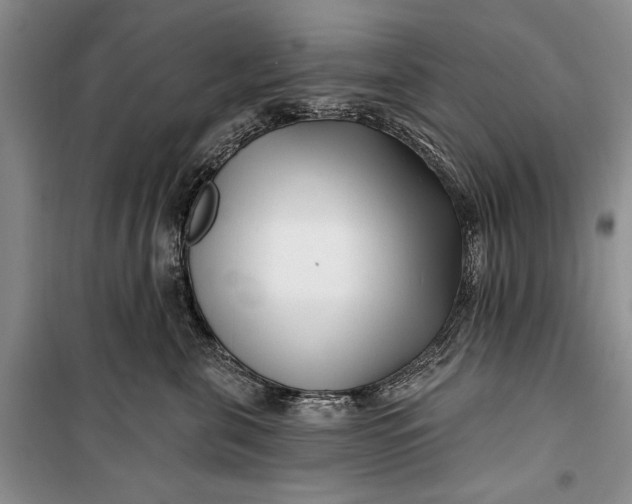 X0000100210571200806131255