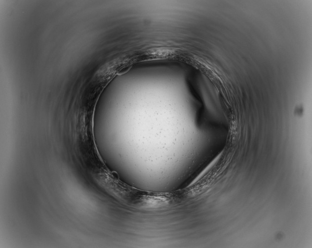 X0000100210572200806131255