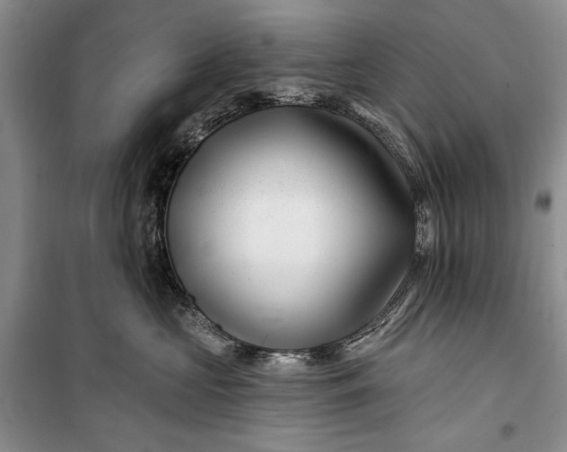 X0000100210573200806131255