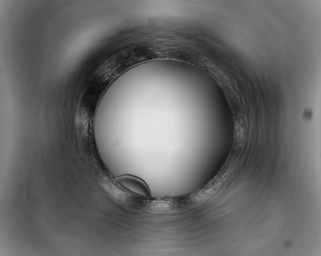 X0000100210574200806131255