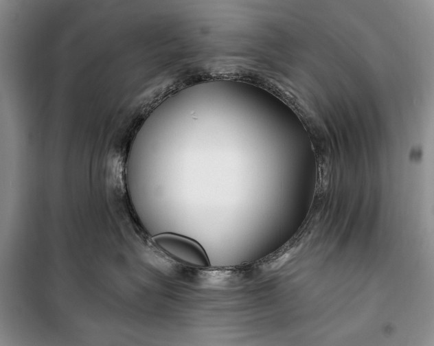 X0000100210575200806131255