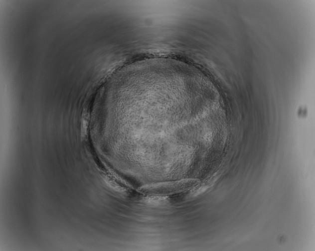 X0000100210576200806131255