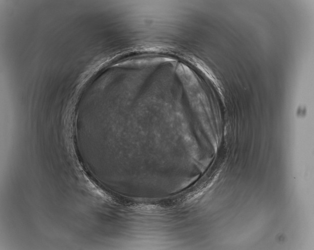 X0000100210577200806131254