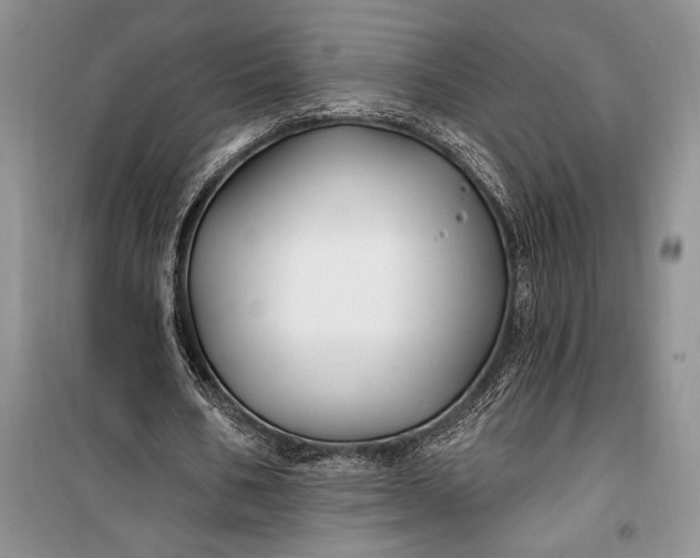 X0000100210578200806131254