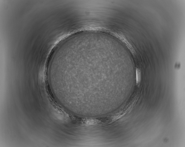 X0000100210579200806131254