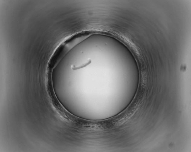 X0000100210580200806131254