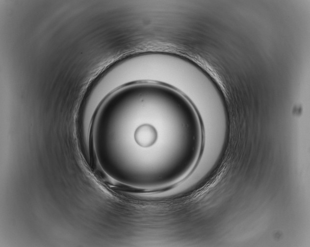 X0000100210581200806131254