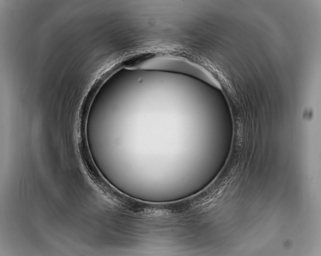 X0000100210582200806131254