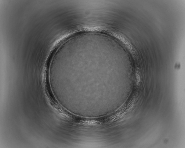 X0000100210583200806131254