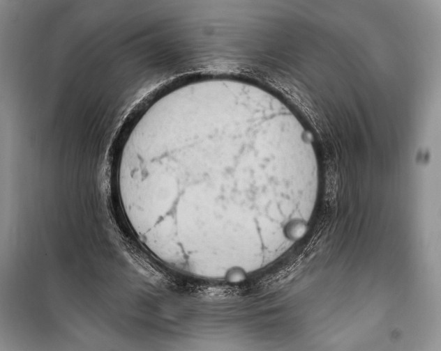 X0000100210584200806131254