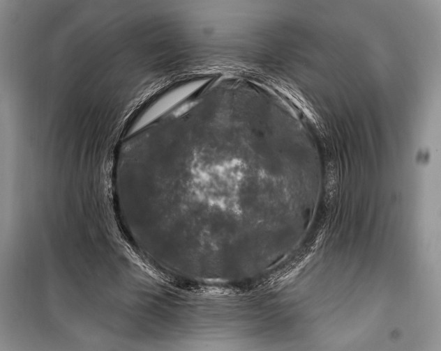 X0000100210585200806131254