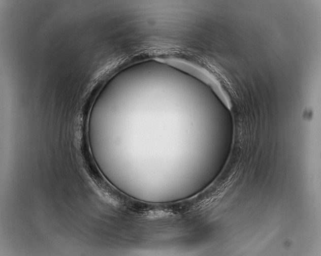 X0000100210586200806131254