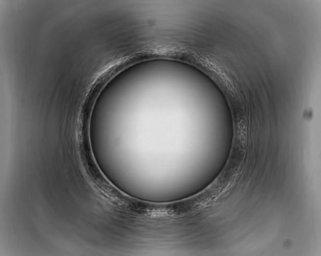 X0000100210587200806131254