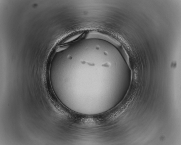 X0000100210588200806131254