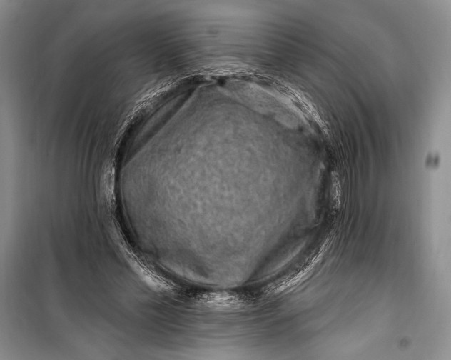 X0000100210589200806131254