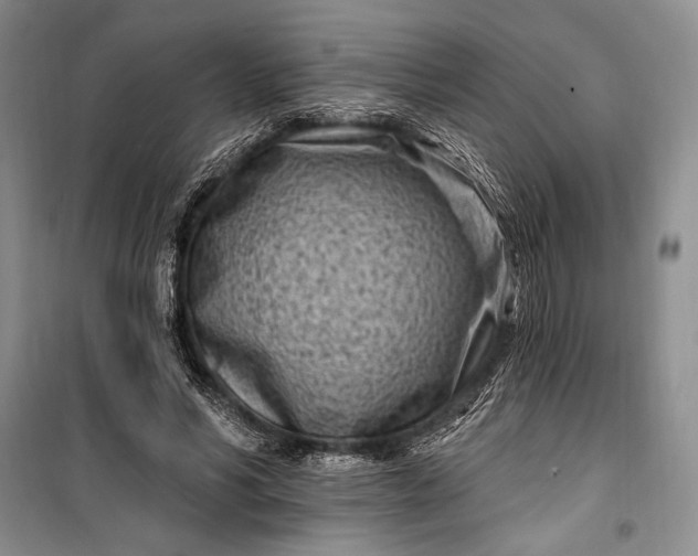 X0000100210590200806131254