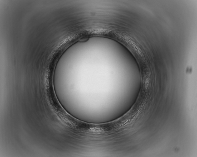 X0000100210591200806131254