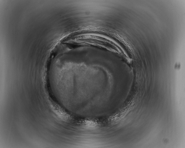 X0000100210592200806131254