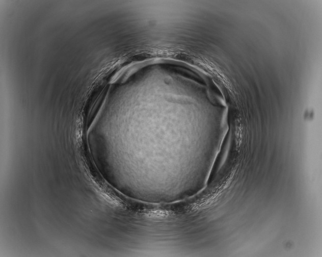 X0000100210593200806131254