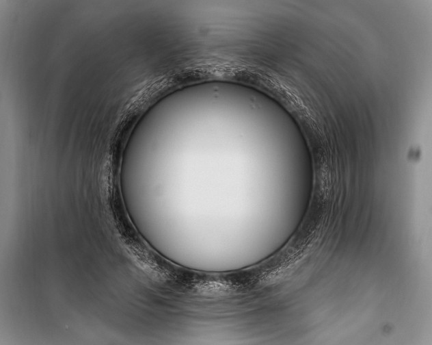 X0000100210594200806131254