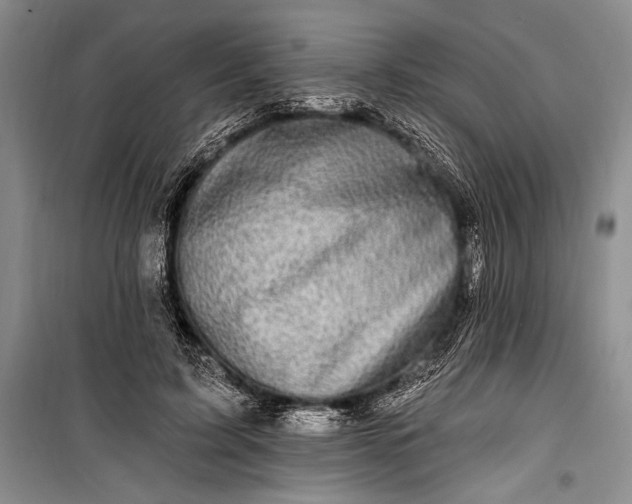 X0000100210595200806131254