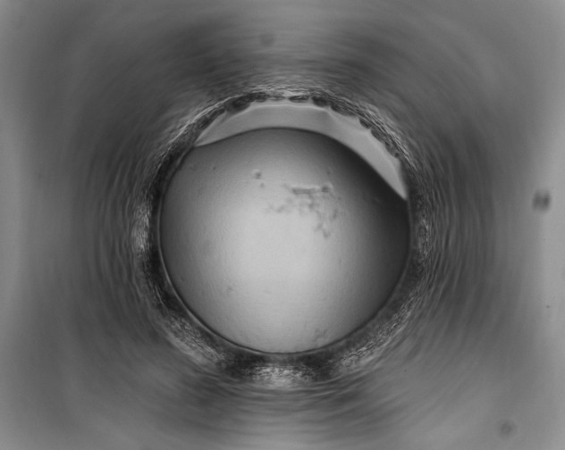 X0000100210596200806131254