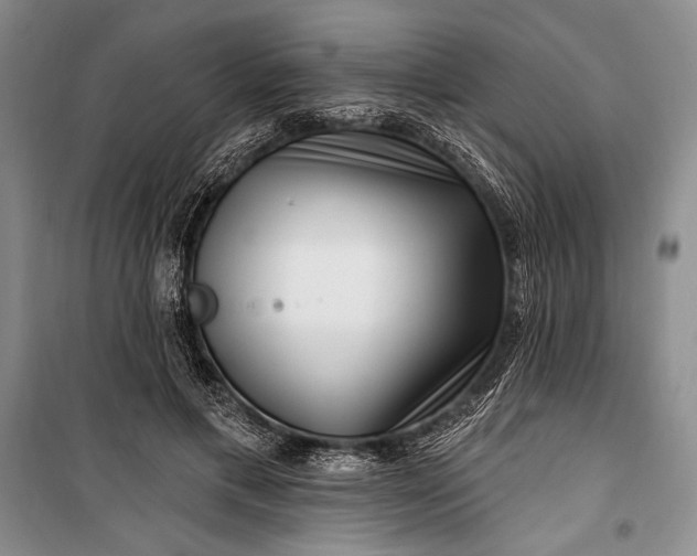 X0000100210597200806131254