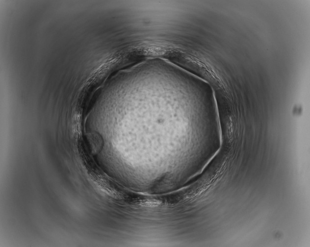 X0000100210598200806131254