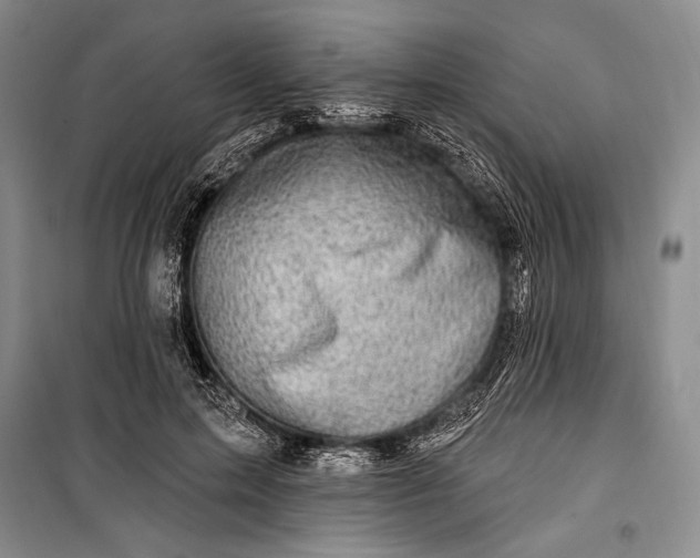 X0000100210599200806131254