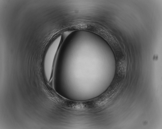 X0000100210600200806131254