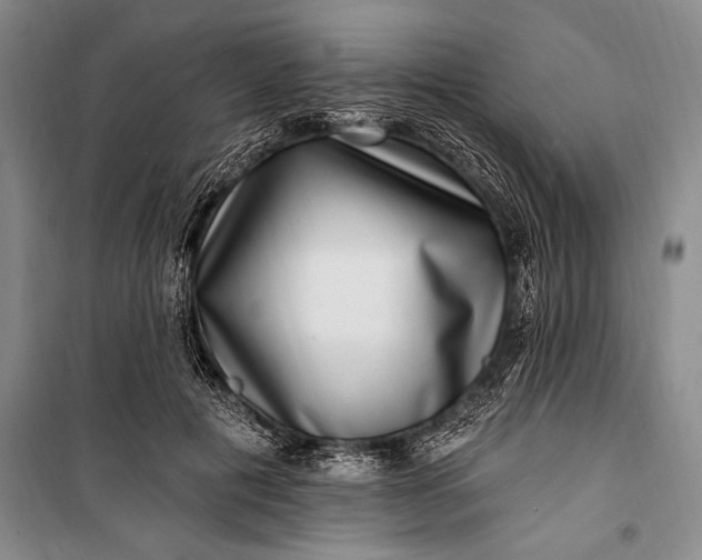 X0000100210601200806131254