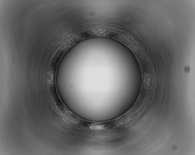 X0000100210602200806131254