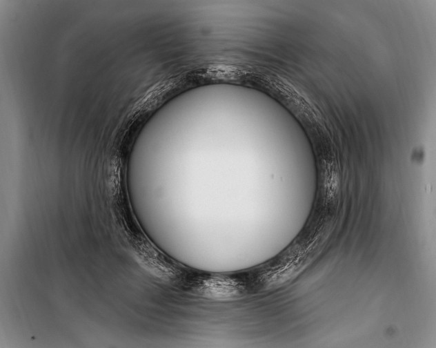 X0000100210603200806131254