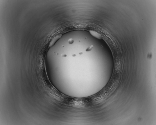 X0000100210604200806131254