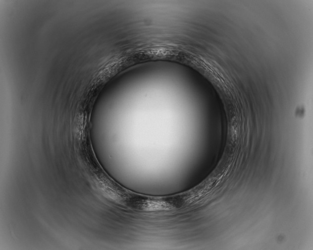 X0000100210605200806131254