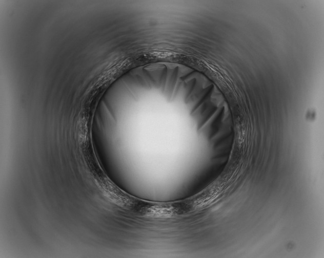 X0000100210606200806131254