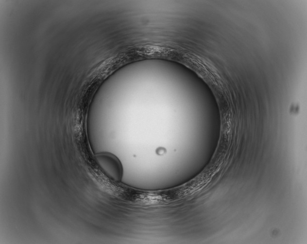 X0000100210607200806131254