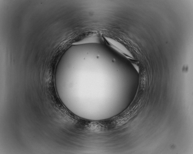 X0000100210608200806131253