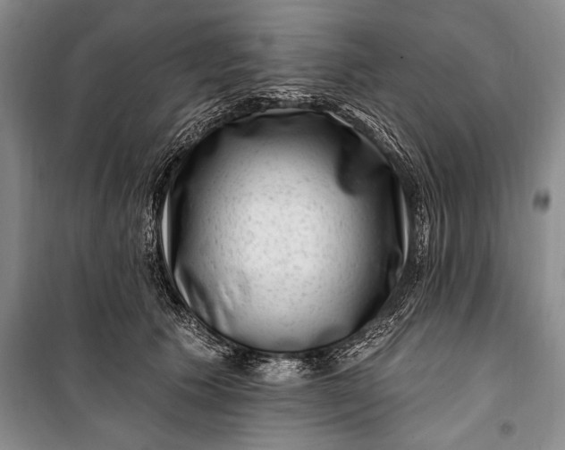 X0000100210609200806131253