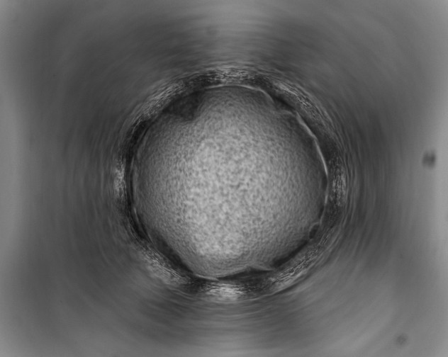 X0000100210610200806131253