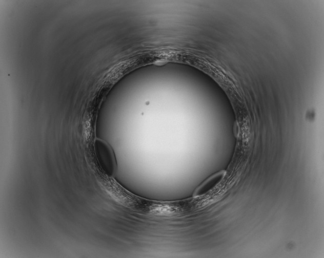 X0000100210611200806131253