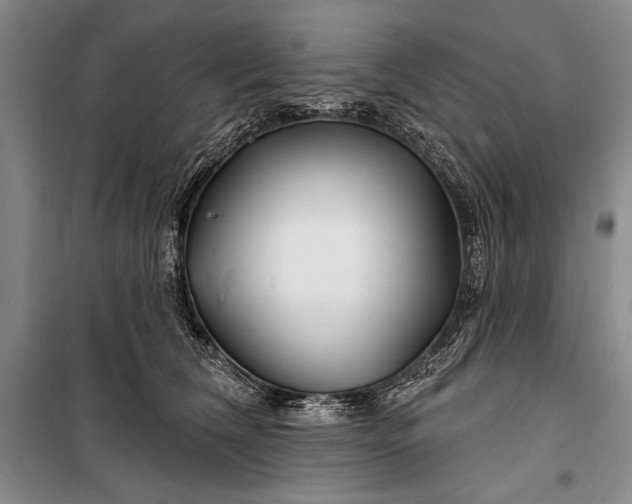 X0000100210612200806131253