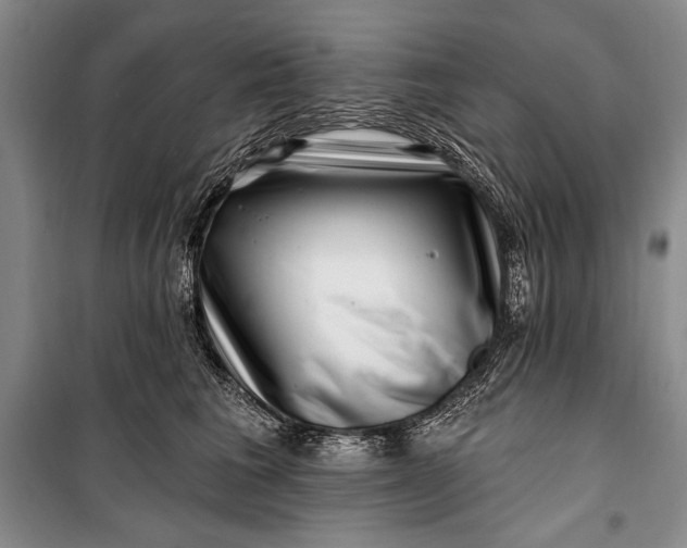 X0000100210613200806131253