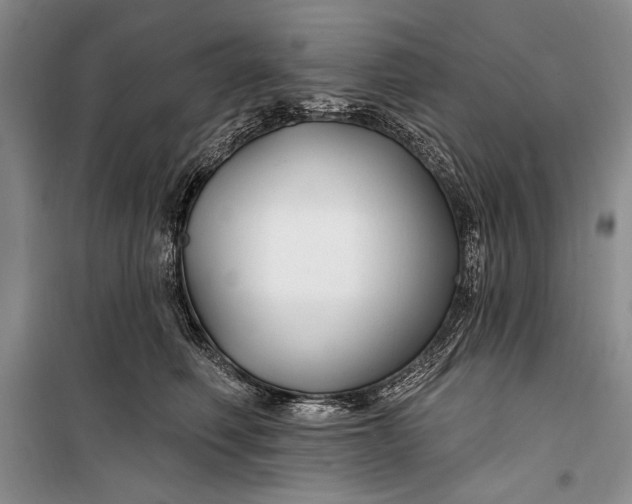 X0000100210614200806131253