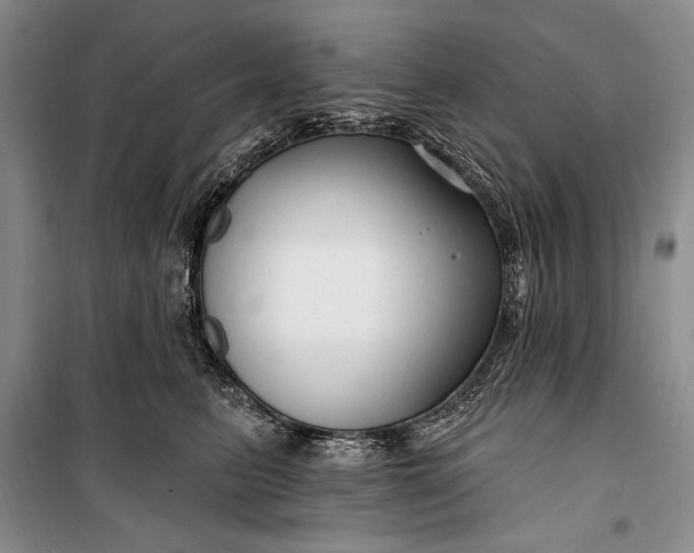 X0000100210615200806131253